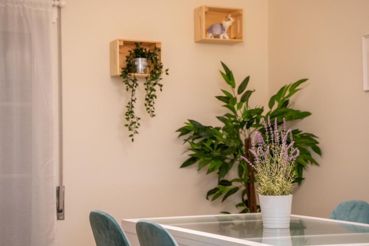 Apartment Paz & Flat - Peace &